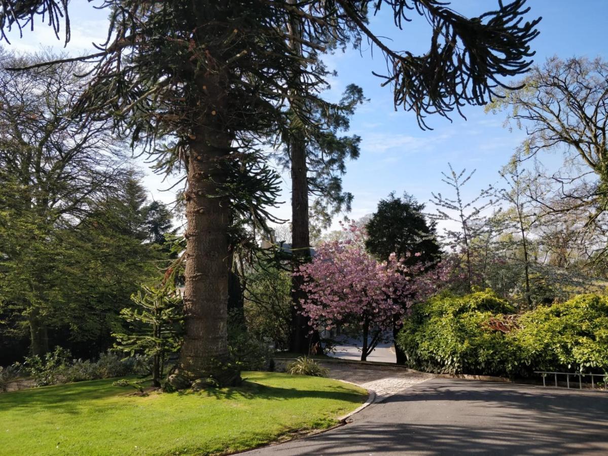 Banoge House Hotel Donaghcloney Kültér fotó