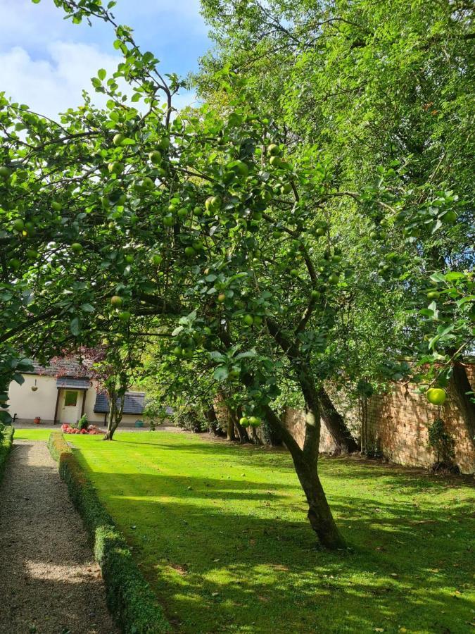 Banoge House Hotel Donaghcloney Kültér fotó